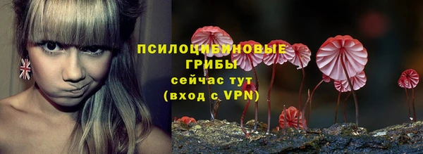 2c-b Зеленодольск