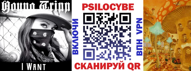 Купить  Симферополь  Псилоцибиновые грибы Psilocybine cubensis 